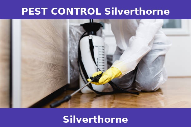 PEST CONTROL Silverthorne